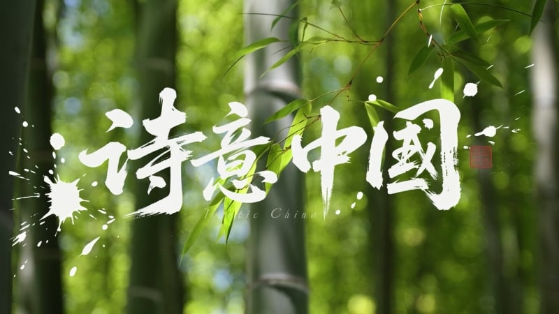 《诗意中国》朗诵背景视频  背景音乐1080P高清下载